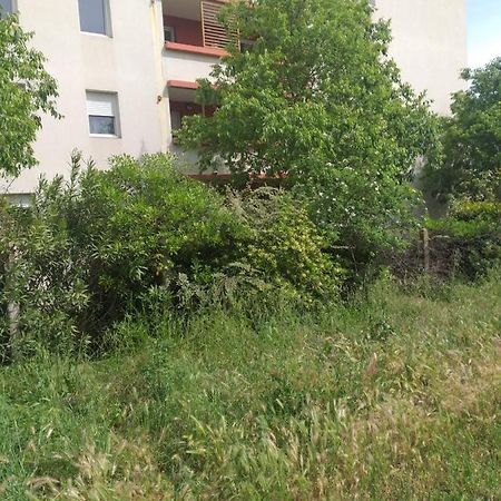 Appartamento Le Nomade, Parc Montcalm Et Stationnement Prive Montpellier Esterno foto